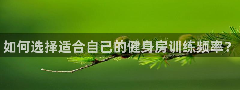 意昂2官方平台