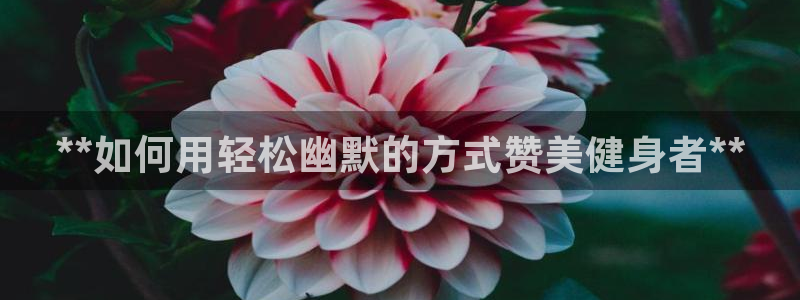 意昂2代理