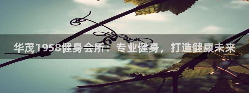 意昂2官方网站